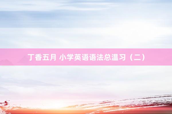丁香五月 小学英语语法总温习（二）