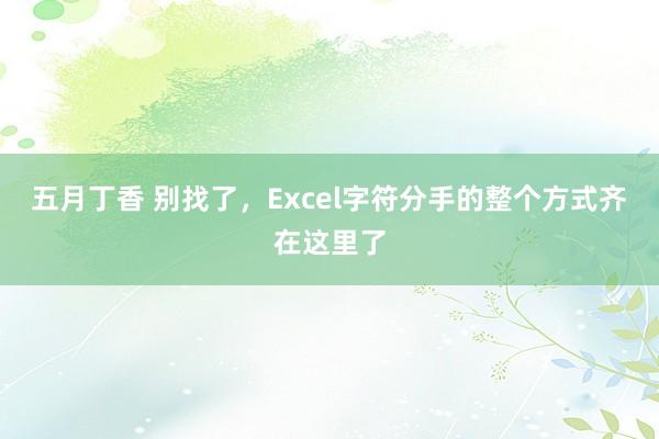 五月丁香 别找了，Excel字符分手的整个方式齐在这里了