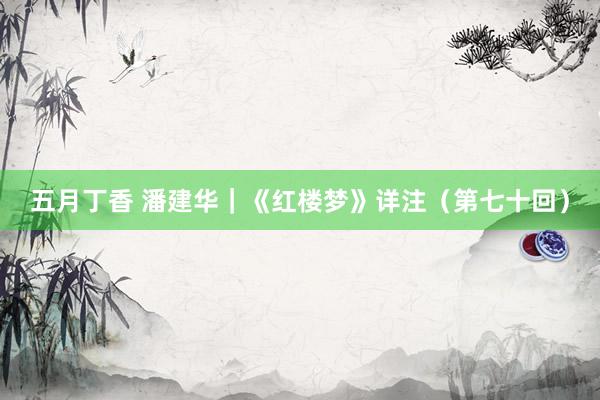 五月丁香 潘建华｜《红楼梦》详注（第七十回）