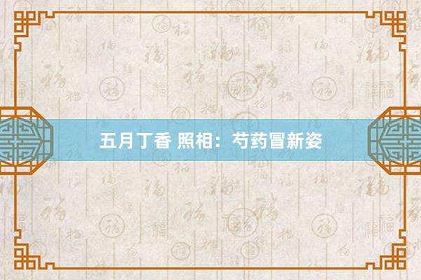 五月丁香 照相：芍药冒新姿