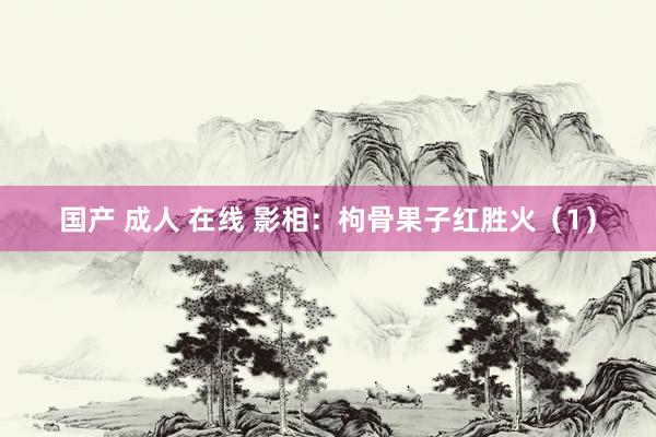 国产 成人 在线 影相：枸骨果子红胜火（1）