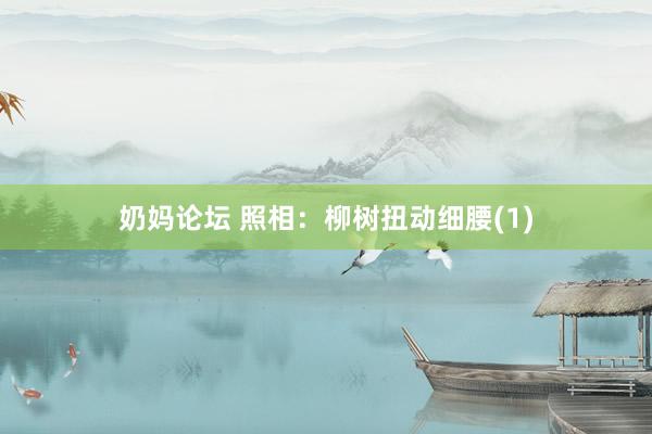 奶妈论坛 照相：柳树扭动细腰(1)
