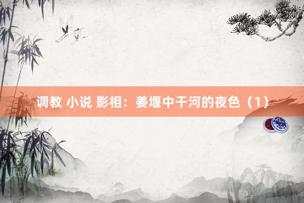 调教 小说 影相：姜堰中干河的夜色（1）