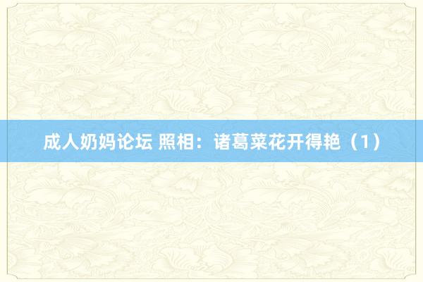 成人奶妈论坛 照相：诸葛菜花开得艳（1）