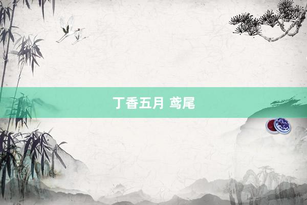 丁香五月 鸢尾